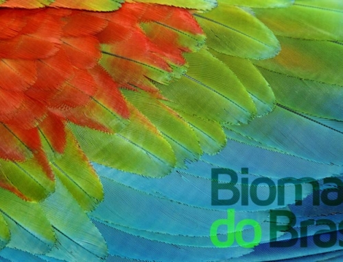 Biomas do Brasil